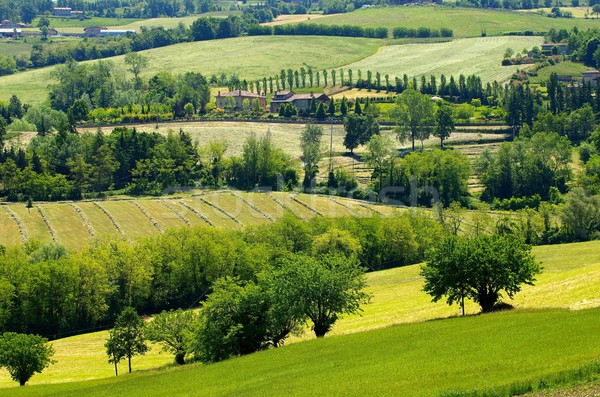 Emilia landscape  Stock photo © LianeM