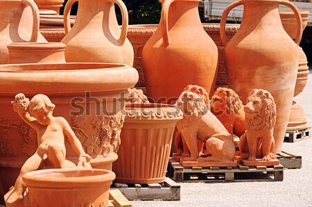 Foto stock: Planta · padrão · recipiente · objetos · jardinagem