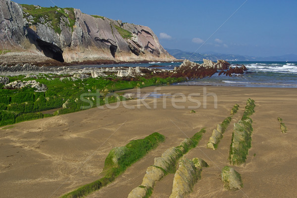 30 夏天 綠色 藍色 衝浪 商業照片 © LianeM