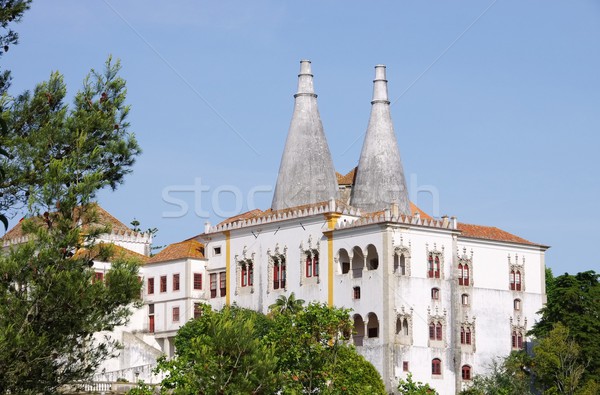Sintra Palacio Nacional de Sintra 03 Stock photo © LianeM
