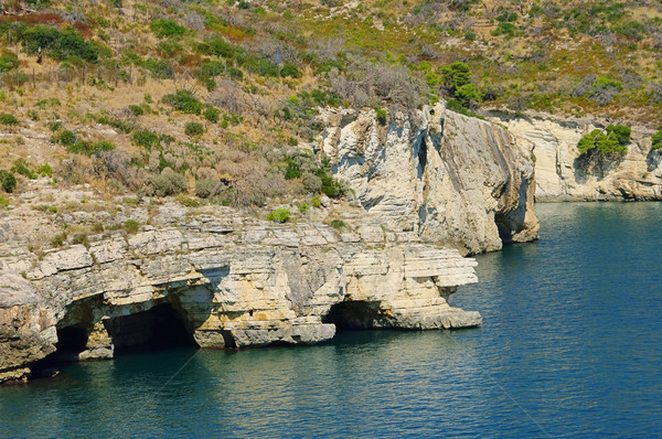 Gargano coast 07 Stock photo © LianeM