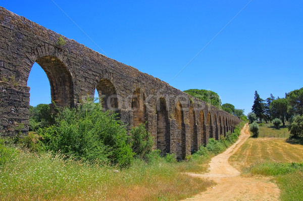 Tomar aqueduct 07 Stock photo © LianeM