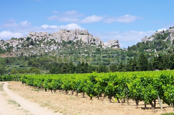 Les Baux-de-Provence 08 Stock photo © LianeM