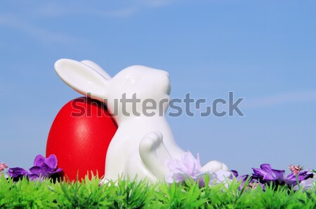 Conejo de Pascua flor pradera hierba azul vacaciones Foto stock © LianeM