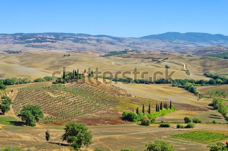 Toskana Haus im Nebel - Tuscany house in fog 03 Stock photo © LianeM