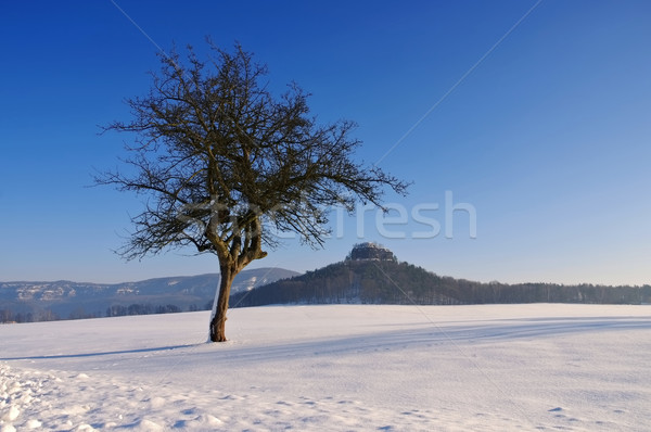 mountain Zirkelstein in winter Stock photo © LianeM