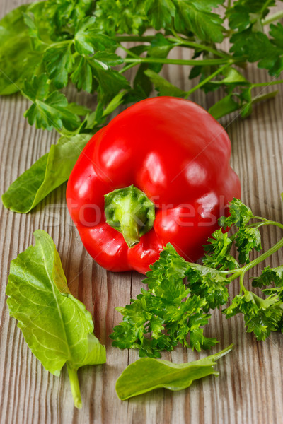 Kitchen garden. Stock photo © lidante