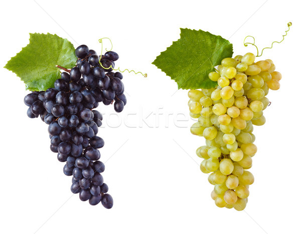 Stock photo: Grape.
