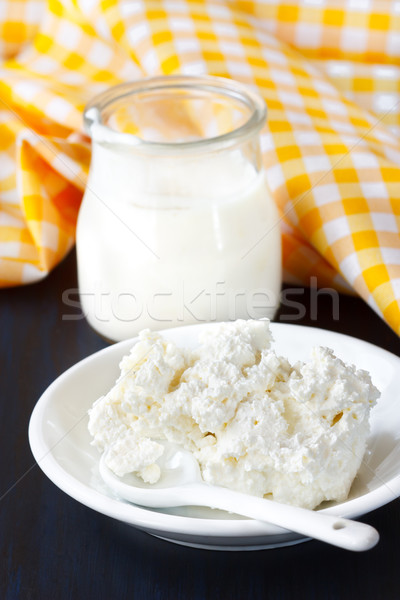 Tejtermék házi készítésű joghurt túró étel sajt Stock fotó © lidante