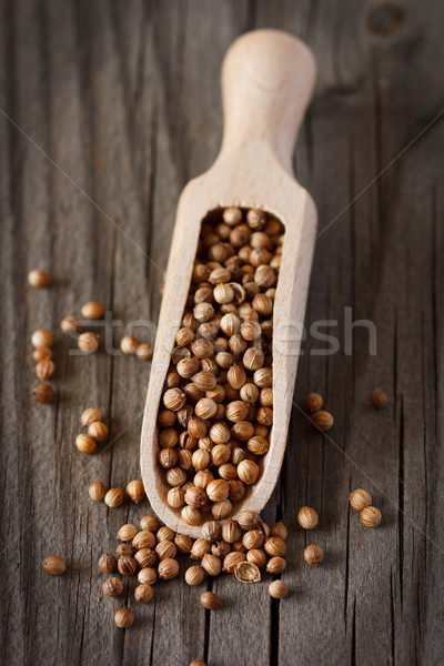 Foto stock: Coentro · picante · sementes · escavar · comida