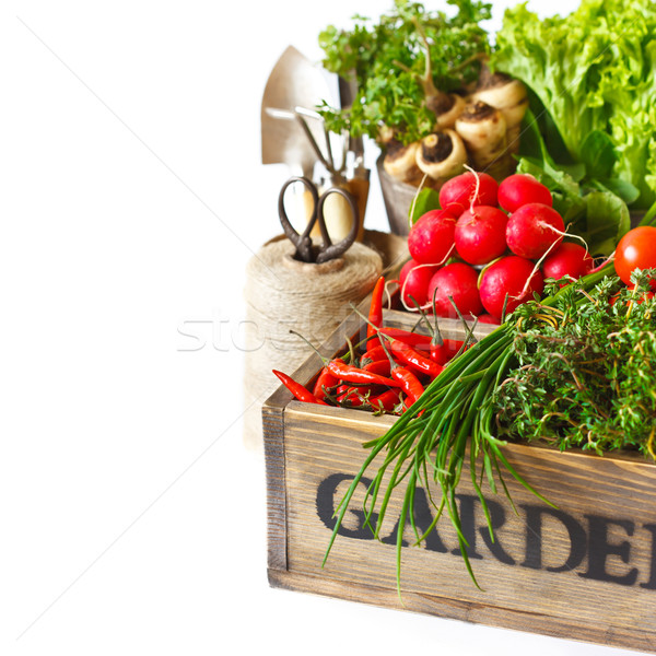 Gemüse frischen Küche Garten Jahrgang Stock foto © lidante