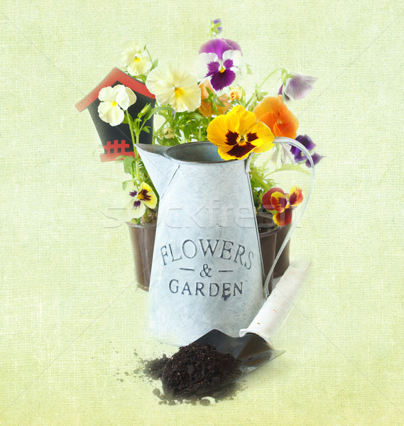 Belo flores jardim ferramentas vintage estilo Foto stock © lidante
