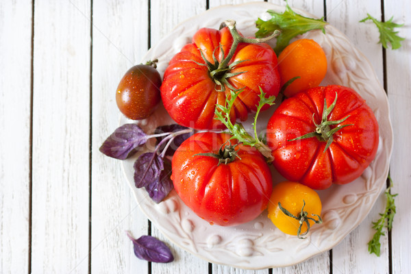 Tomatoes. Stock photo © lidante