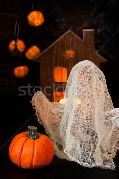 Halloween. Stock photo © lidante