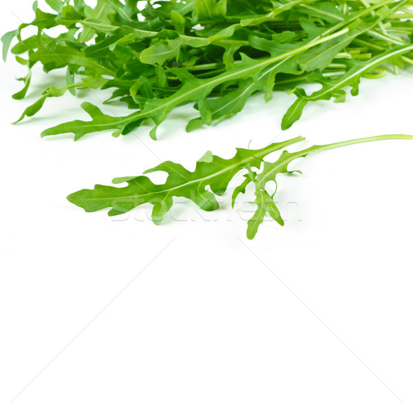 Arugula. Stock photo © lidante