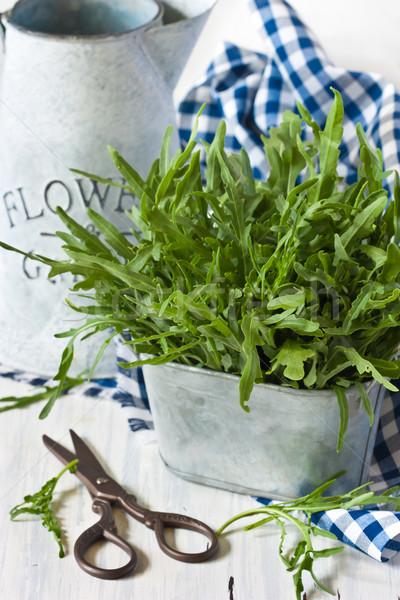 Arugula. Stock photo © lidante