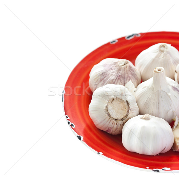 Garlic. Stock photo © lidante
