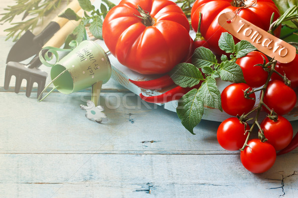 Cozinha jardim tomates fresco maduro Foto stock © lidante