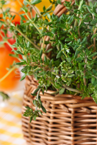 Thyme close-up. Stock photo © lidante