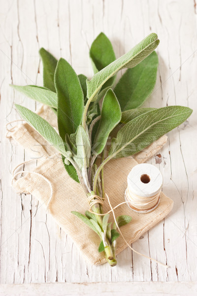 Foto stock: Sálvia · monte · fresco · velho · comida