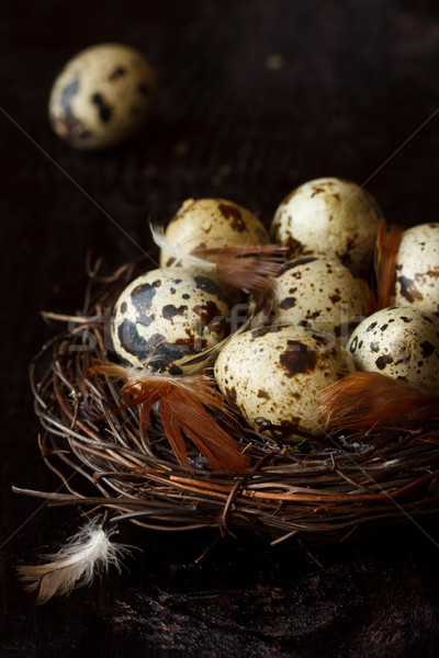 Stock photo: Quail eggs.