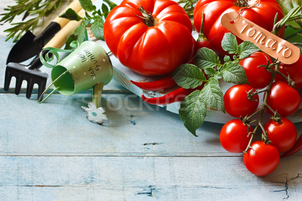 Stok fotoğraf: Mutfak · bahçe · domates · taze · olgun · bahçe · aletleri