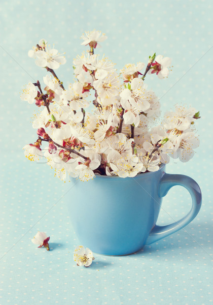 Easter time. Stock photo © lidante