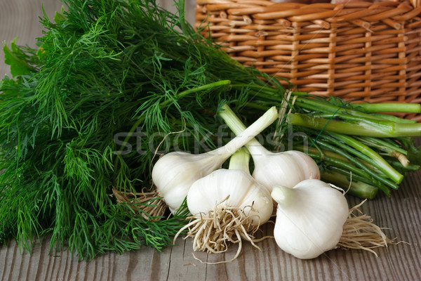 Garlic and dill. Stock photo © lidante