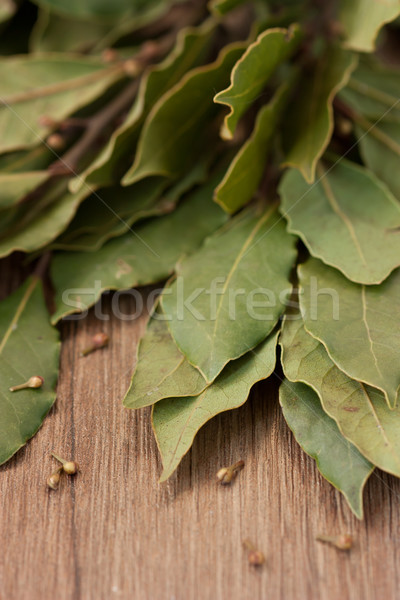 Laurel leaves.  Stock photo © lidante