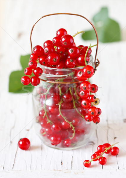 Redcurrant berries. Stock photo © lidante
