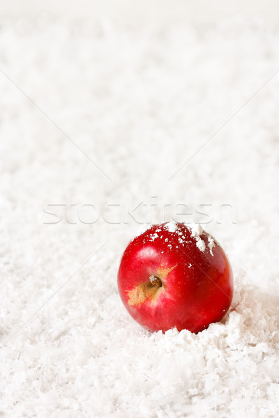 Crăciun decorare iarnă roşu măr Imagine de stoc © lidante