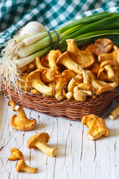 Chanterelle mushrooms. Stock photo © lidante