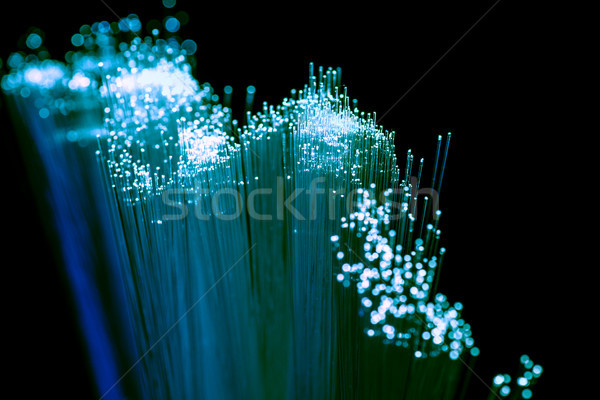Foto d'archivio: Lucido · azzurro · fibra · ottica · comunicazione