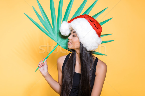 Woman in santa hat with palm leaf Stock photo © LightFieldStudios