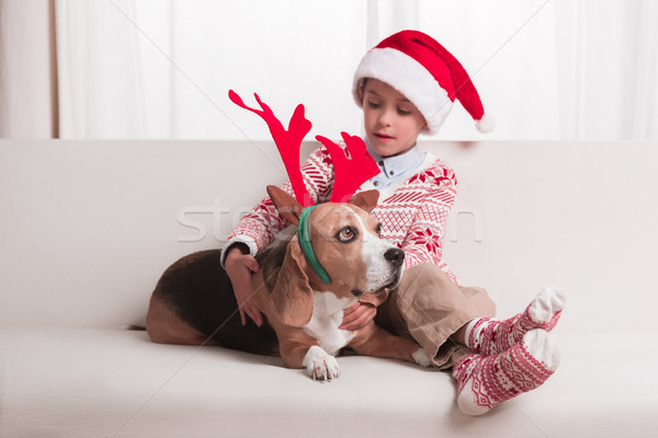 boy and his dog on christmas Stock photo © LightFieldStudios