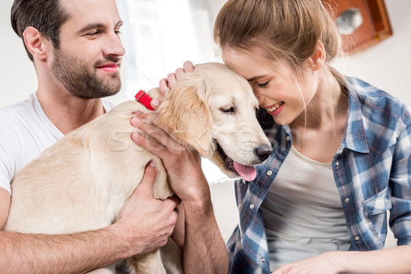 Foto stock: Cachorro · jovem · feliz · casal