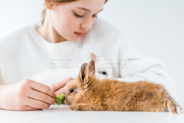 cropped shot of cute little girl feeding rabbits with broccoli on white  Stock photo © LightFieldStudios