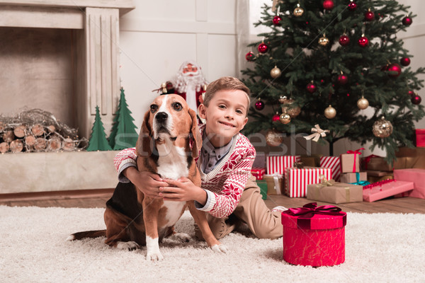 Stock photo: boy embracing beagle dog on christmas