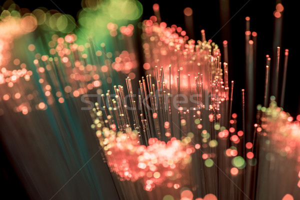 Close up of shiny pink fiber optics texture background Stock photo © LightFieldStudios