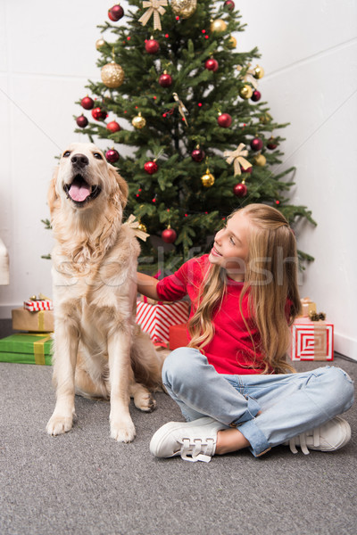 Foto stock: Criança · cão · natal · feliz · feminino · sessão