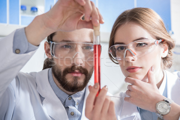 Scientists with chemical sample Stock photo © LightFieldStudios