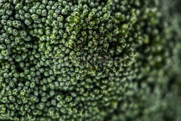Primo piano shot broccoli cavolo verde vegetali Foto d'archivio © LightFieldStudios