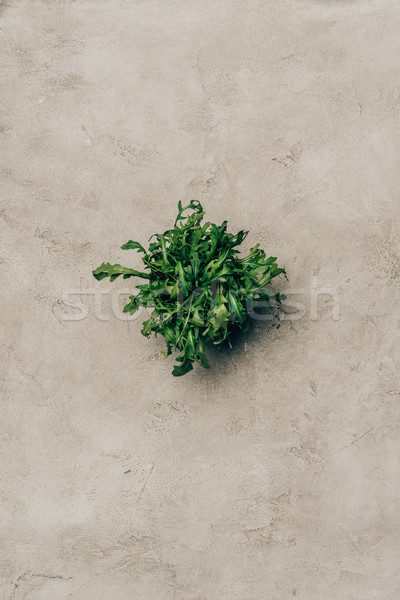 Bunch of green arugula leaves on light background Stock photo © LightFieldStudios