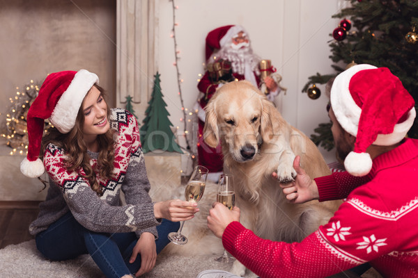 couple drinking champagne at christmastime Stock photo © LightFieldStudios