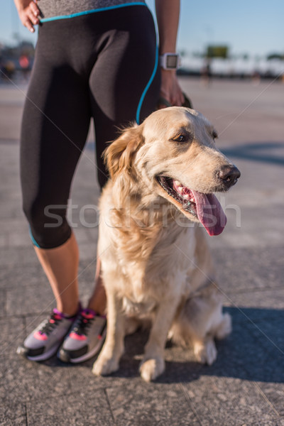 Stock foto: Golden · Retriever · Hund · Ansicht · sportlich · Sportlerin · stehen