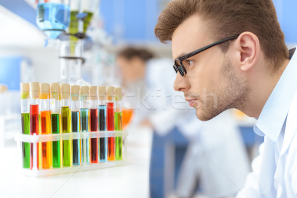 Side view of man scientist in eyeglasses looking at test tubes with reagents in lab Stock photo © LightFieldStudios