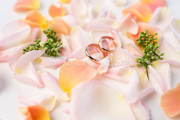 Stock photo: Close-up view of beautiful wedding composition with golden rings and rose petals, wedding rings and 