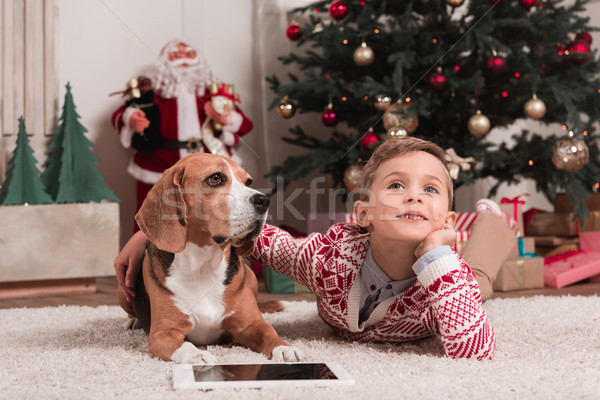 boy with beagle dog on christmas Stock photo © LightFieldStudios