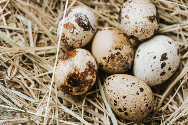 Huevos paja cerca otro desayuno Foto stock © LightFieldStudios