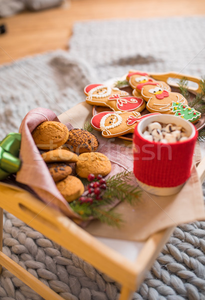 Рождества Cookies горячий шоколад мнение Сток-фото © LightFieldStudios